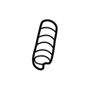 Ford F2DZ-3D655-A Spring