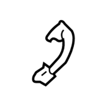 Ford 4L3Z-1631406-AAA Grip Handle, Passenger Side 4L3Z-1631406-AAA Ford Grip Handle, Passenger Side Illustration 1 of 1