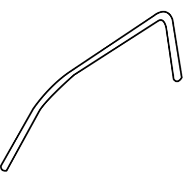 Ford YS4Z-6151822-AA Weatherstrip Assembly - Door