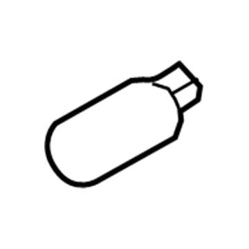 Ford E5RY-13466-B Bulb