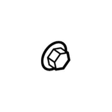 Lincoln -W700505-S300 Nut - Plastic