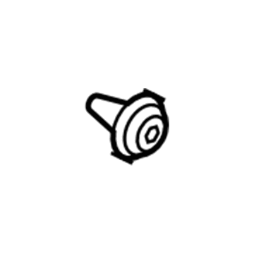 Ford -W713297-S300 Pin