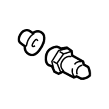Ford CP9Z-2208-A Screw - Bleed