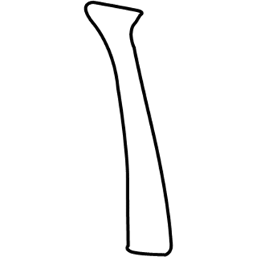 5W7Z-54243B01-AA Ford Pillar Molding, Driver Side Illustration 1 of 1