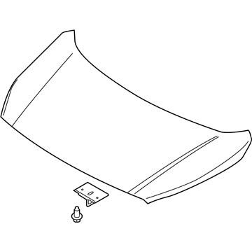 Ford KT1Z-16612-C Hood Assembly