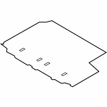 Ford CK4Z-6113046-LC Carpet - Floor