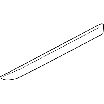 Ford Focus Door Moldings - 5S4Z-5420938-AAPTM