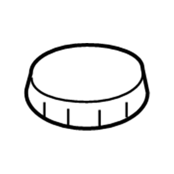 Lincoln XW4Z-2162-CA Cap - Filler