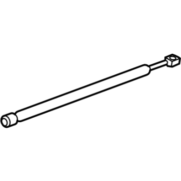 Ford FN1Z-74406A10-C Lift Assembly - Tailgate - Gas
