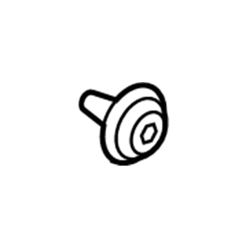 Lincoln -W713297-S300 Pin