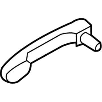 Ford 5F9Z-7422404-BDPTM Handle Assembly - Door Outer