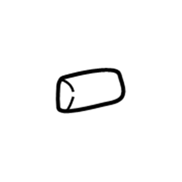 Ford F75Z-7810176-AAPTM Moulding