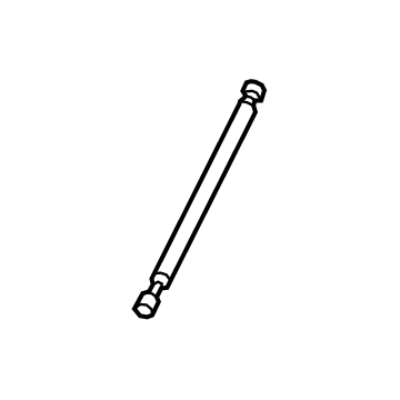 Lincoln LC5Z-16C826-C Lift Assembly - Gas