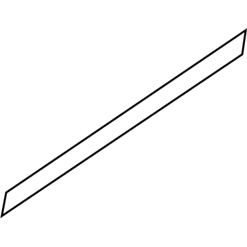 Ford 9L3Z-1625532-A Molding - Door Outside