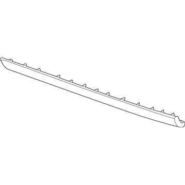 Ford 5W6Z-7610176-AA Moulding