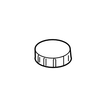 Lincoln K2GZ-2162-B Cap - Filler