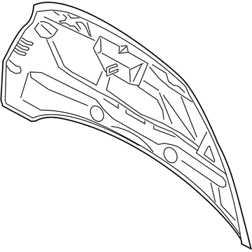 Ford AM5Z-16612-A Hood Assembly - Less Hinges