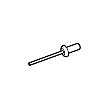 Ford -W716070-S300 Rivet