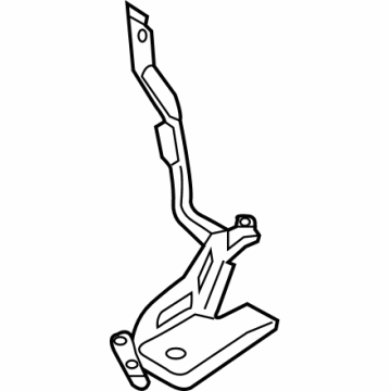 Lincoln SL7Z-16796-A Hinge