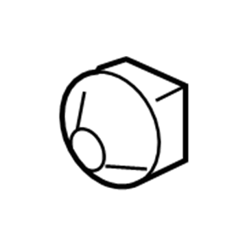 Ford 5L8Z-7A002-A Plug