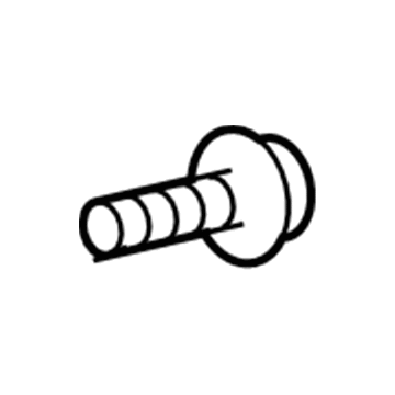 -W709002-SAA Ford Wheel Opening Molding Screw, Lower Illustration 1 of 1
