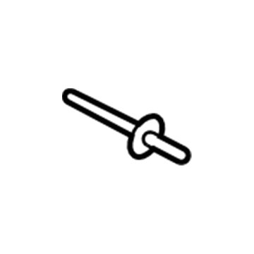 Ford -W705376-S900 Rivet - Blind