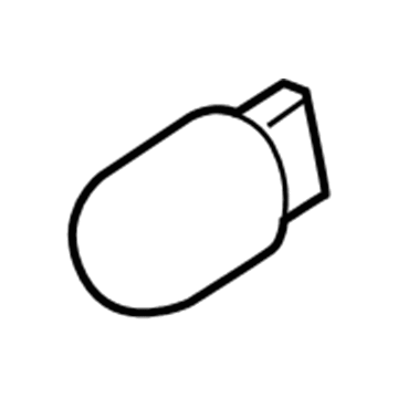Ford DR3Z-13466-A Bulb