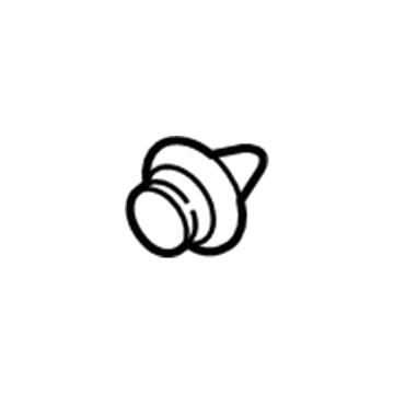 Lincoln -W713610-S300 Pin - Trim