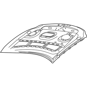 Ford 4L3Z-16612-AA Hood Assembly