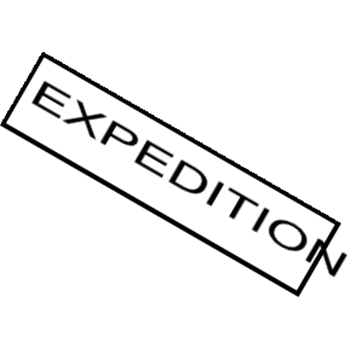 Ford Expedition Emblem - 7L1Z-7842528-E
