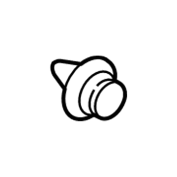 Lincoln -W713297-S300 Pin