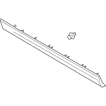 Lincoln LJ7Z-7820878-BBPTM Molding - Door Outside
