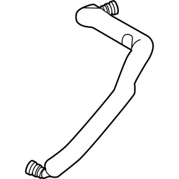 Ford P2GZ-6A664-B Vent Hose