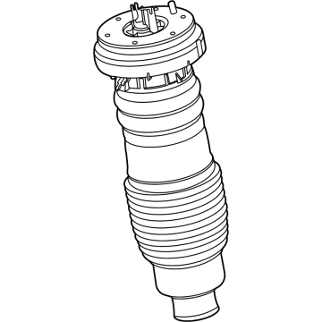 Lincoln LC5Z-3C199-K Air Suspension