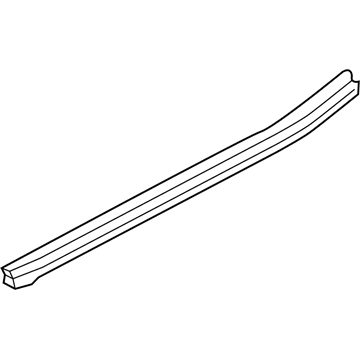Ford FL3Z-1625861-B Weatherstrip - Door Belt