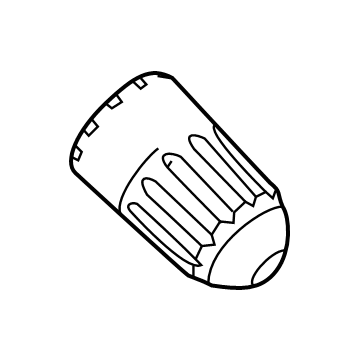 Ford F2GZ-1A163-A Cap - Valve