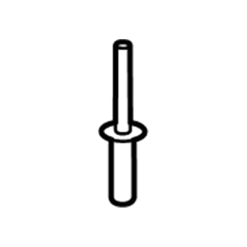 Ford -W705297-S300 Rivet