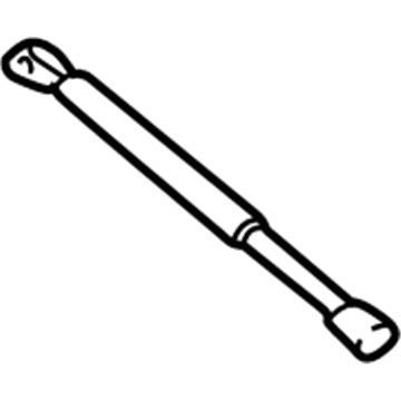 Ford 2L1Z-16C826-AA Lift Assembly - Gas