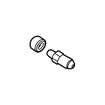 Ford E1GZ-2208-A Screw - Bleed