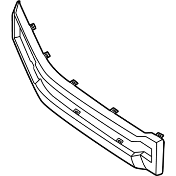 Ford N1WZ-17E810-CF Center Molding