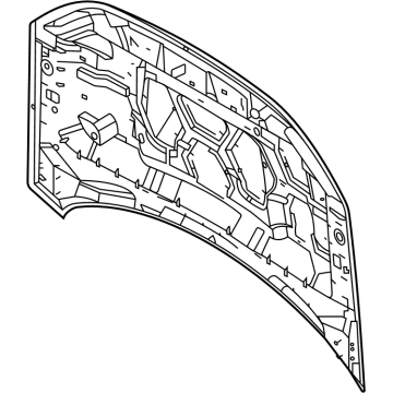 Ford M1PZ-16612-A Hood Assembly