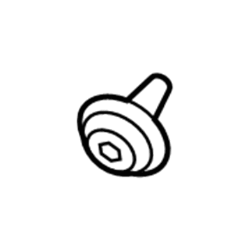 Ford -W713297-S300 Pin