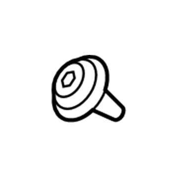 Ford -W713297-S300 Pin