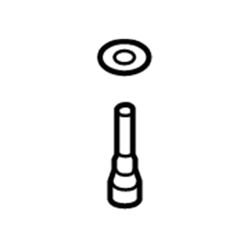 Ford FOAZ-8115-A Plug - Radiator Drain