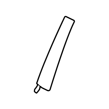 Ford M1PZ-7820554-AB Molding - Door Outside