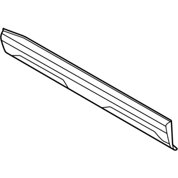 Ford M1PZ-7820878-A Molding - Door Outside