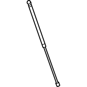 Ford FT4Z-16C826-B Lift Assembly - Gas
