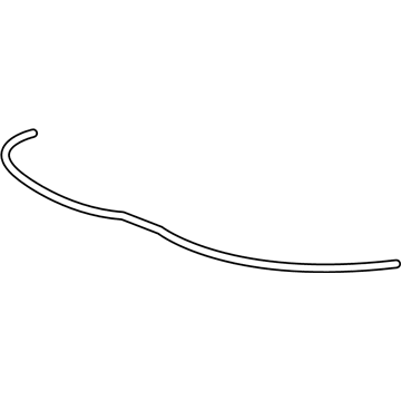 Ford Edge Weather Strip - FT4Z-16B990-B