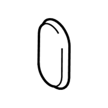 Lincoln 2L1Z-7850808-AA Plug