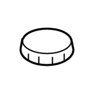 Lincoln XW4Z-2162-CA Cap - Filler
